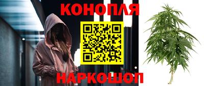 ГАЛЛЮЦИНОГЕННЫЕ ГРИБЫ Ипатово